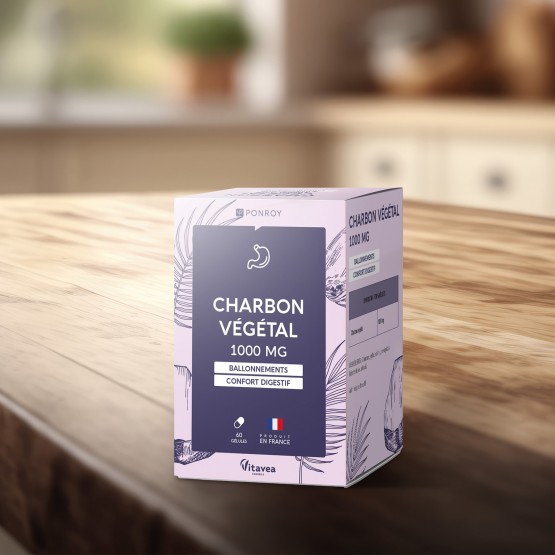 Charbon végétal 1000 mg